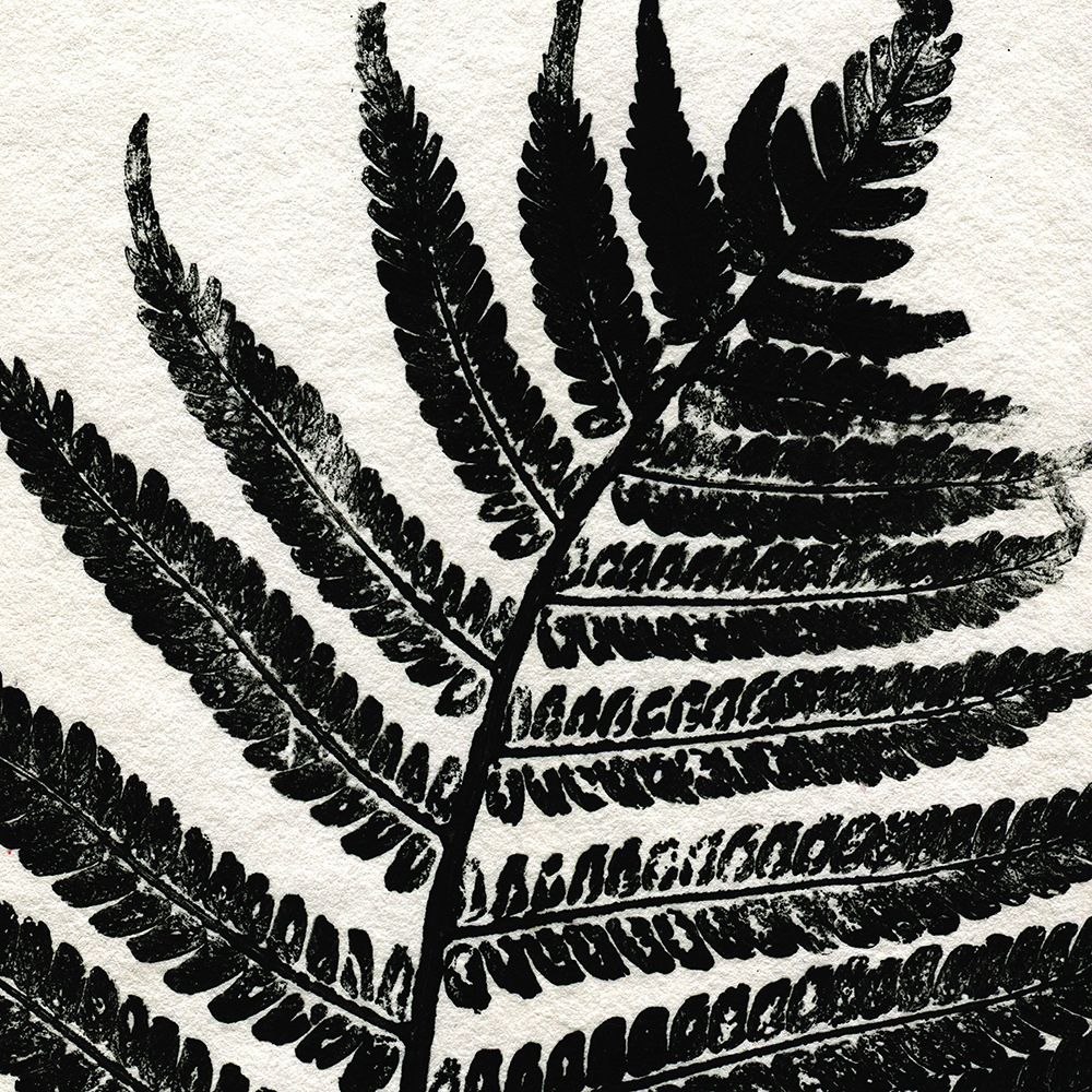 Pressed Fern 1 art print by Kimberly Allen for $57.95 CAD