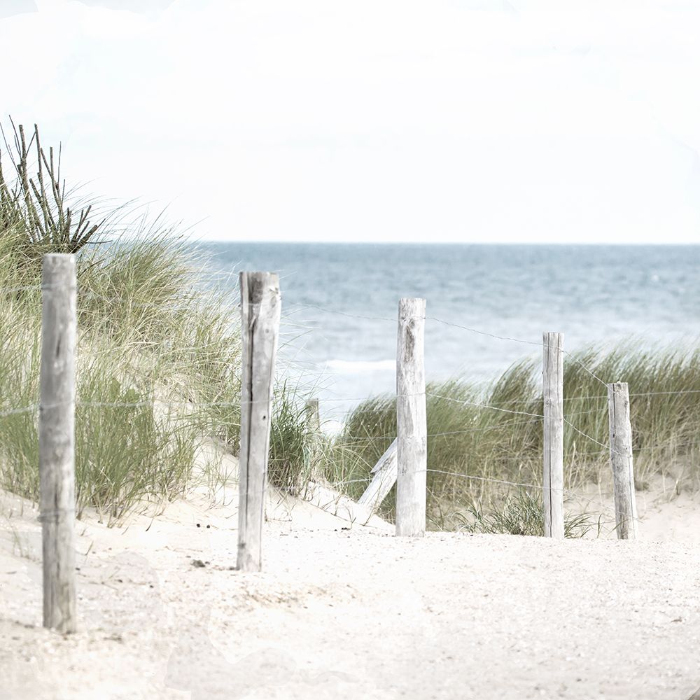 Sand Pathway art print by Kimberly Allen for $57.95 CAD