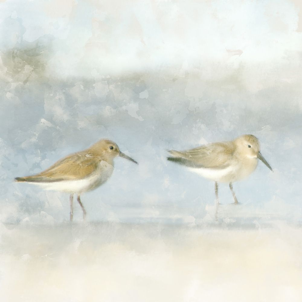 Sandpiper Beach art print by Kimberly Allen for $57.95 CAD