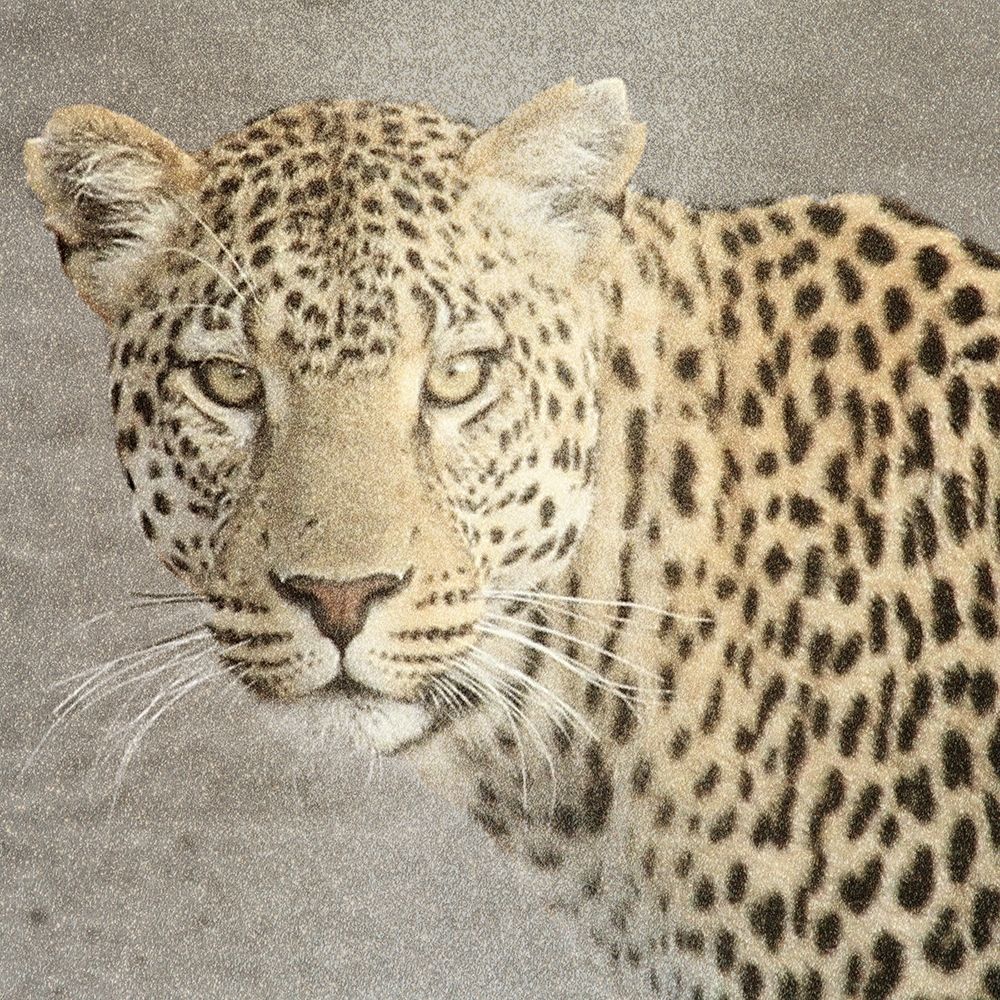 God Is Our Refuge Leopard v2 art print by Kimberly Allen for $57.95 CAD