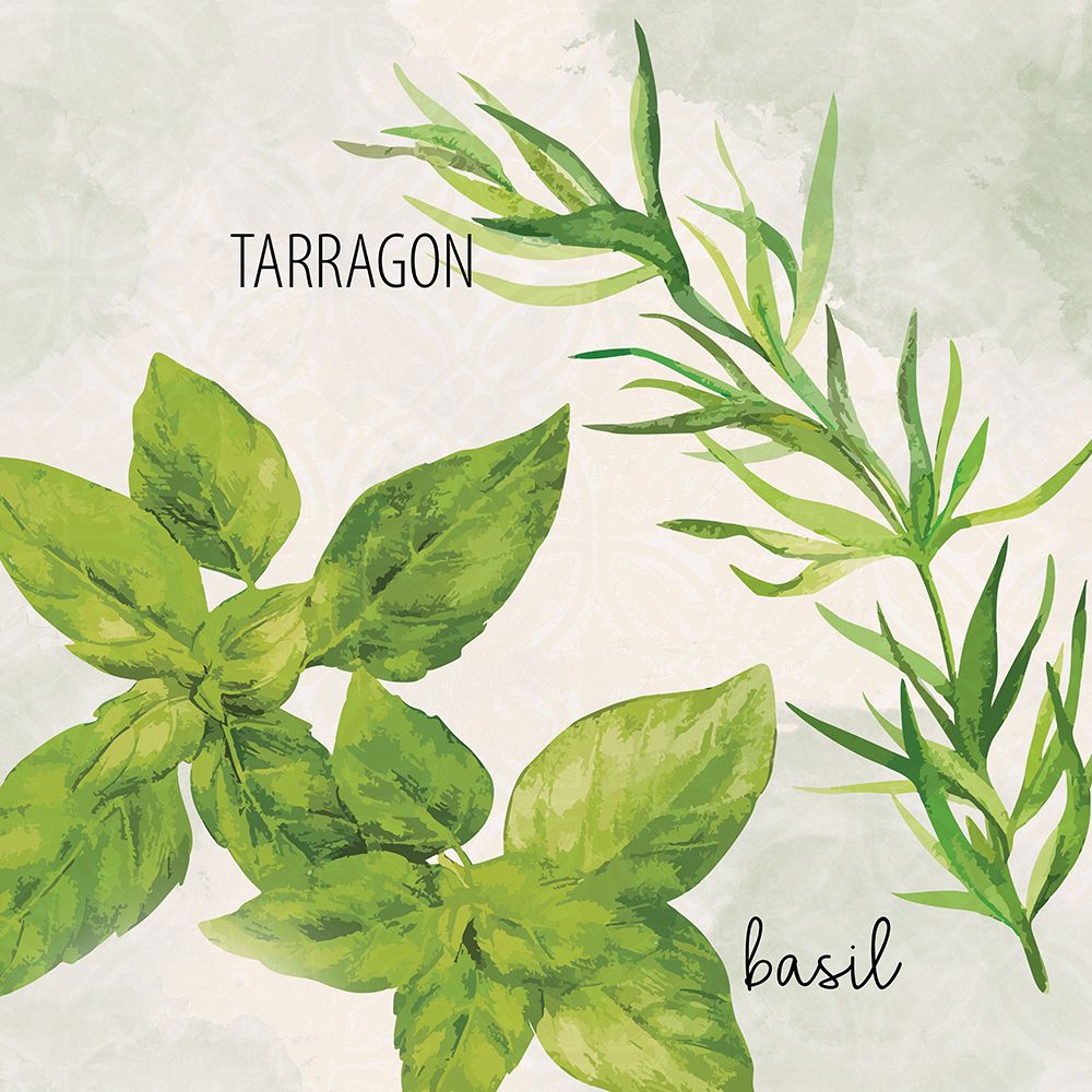 Fresh Herbs 1 art print by Kimberly Allen for $57.95 CAD