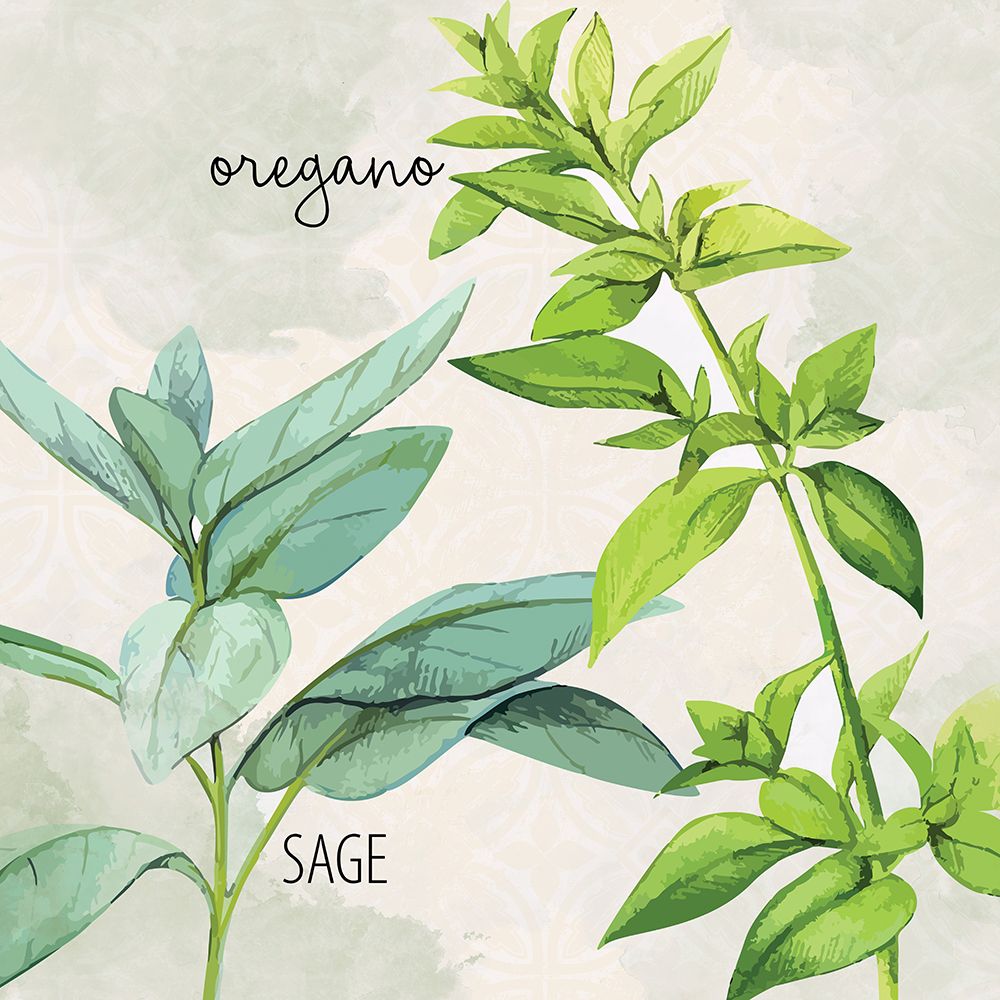 Fresh Herbs 3 art print by Kimberly Allen for $57.95 CAD
