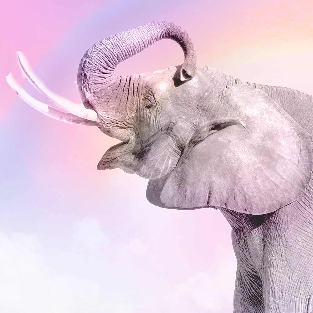 Pink Animals 3 art print by Kimberly Allen for $57.95 CAD