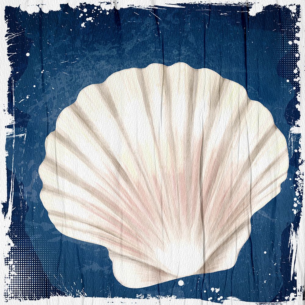 Coastal Shells 2 art print by Kimberly Allen for $57.95 CAD