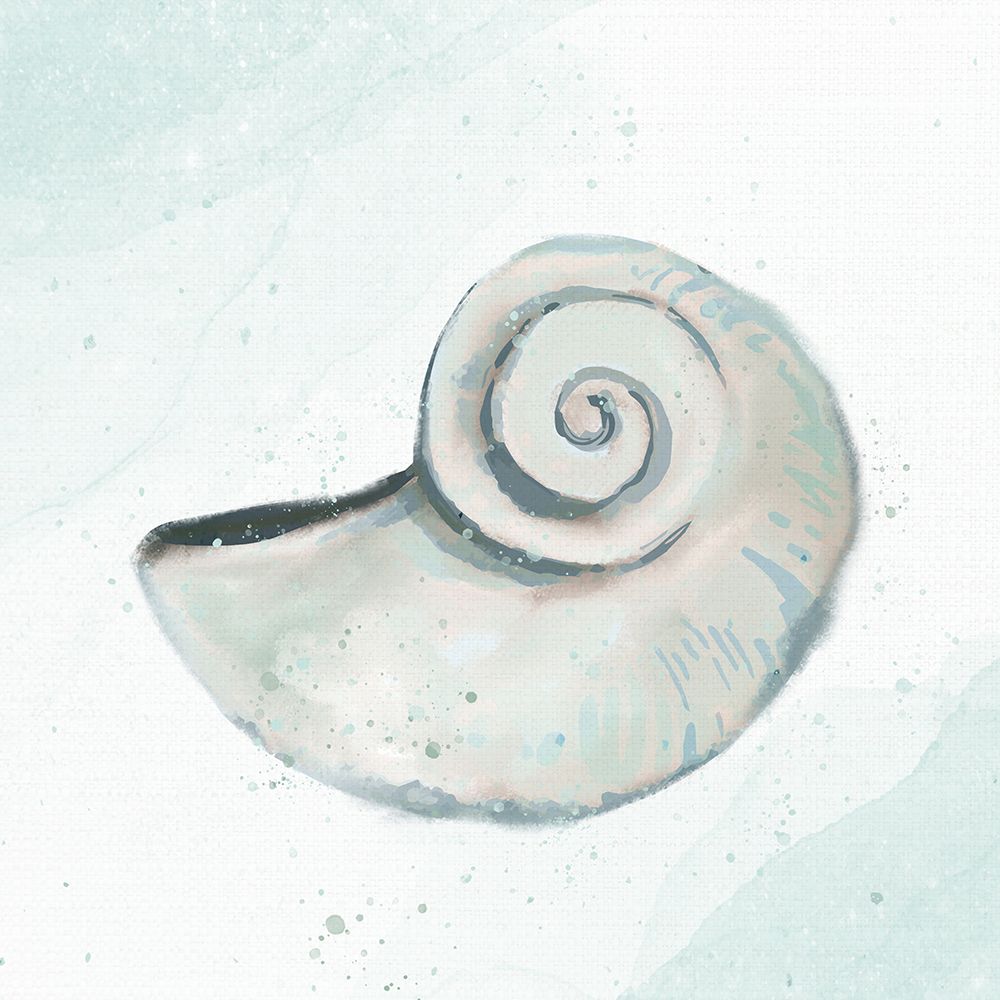 Seashore Shell 1 art print by Kimberly Allen for $57.95 CAD
