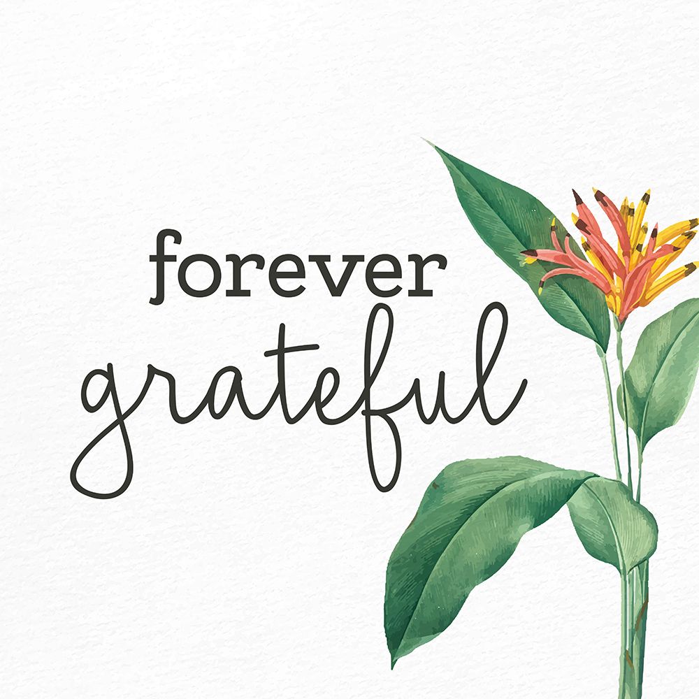 Forever Grateful art print by Kimberly Allen for $57.95 CAD