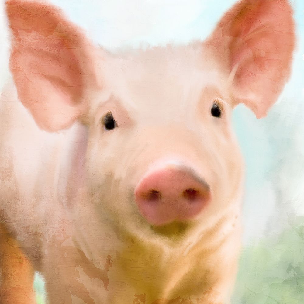 Baby Pig art print by Kimberly Allen for $57.95 CAD