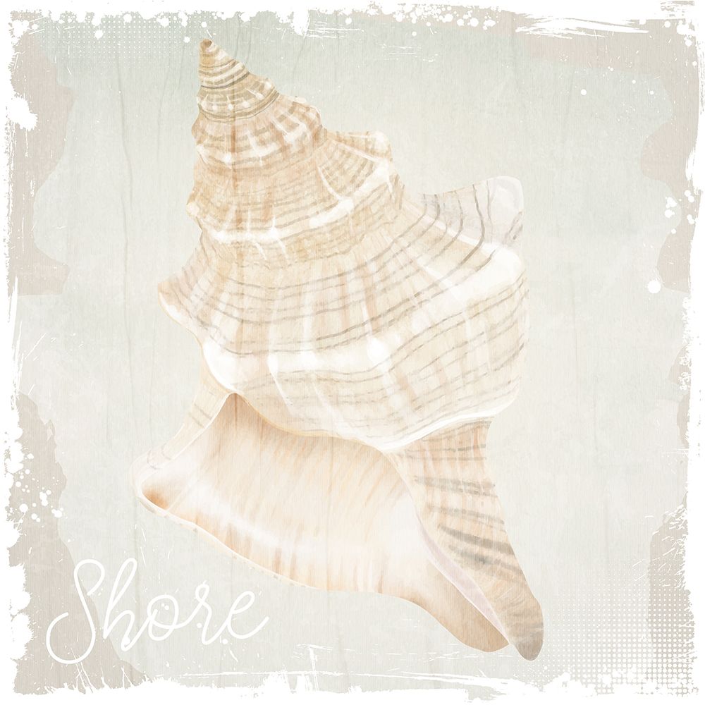 Shore Coast 1 art print by Kimberly Allen for $57.95 CAD