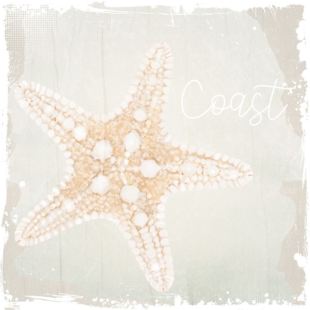 Shore Coast 2 art print by Kimberly Allen for $57.95 CAD