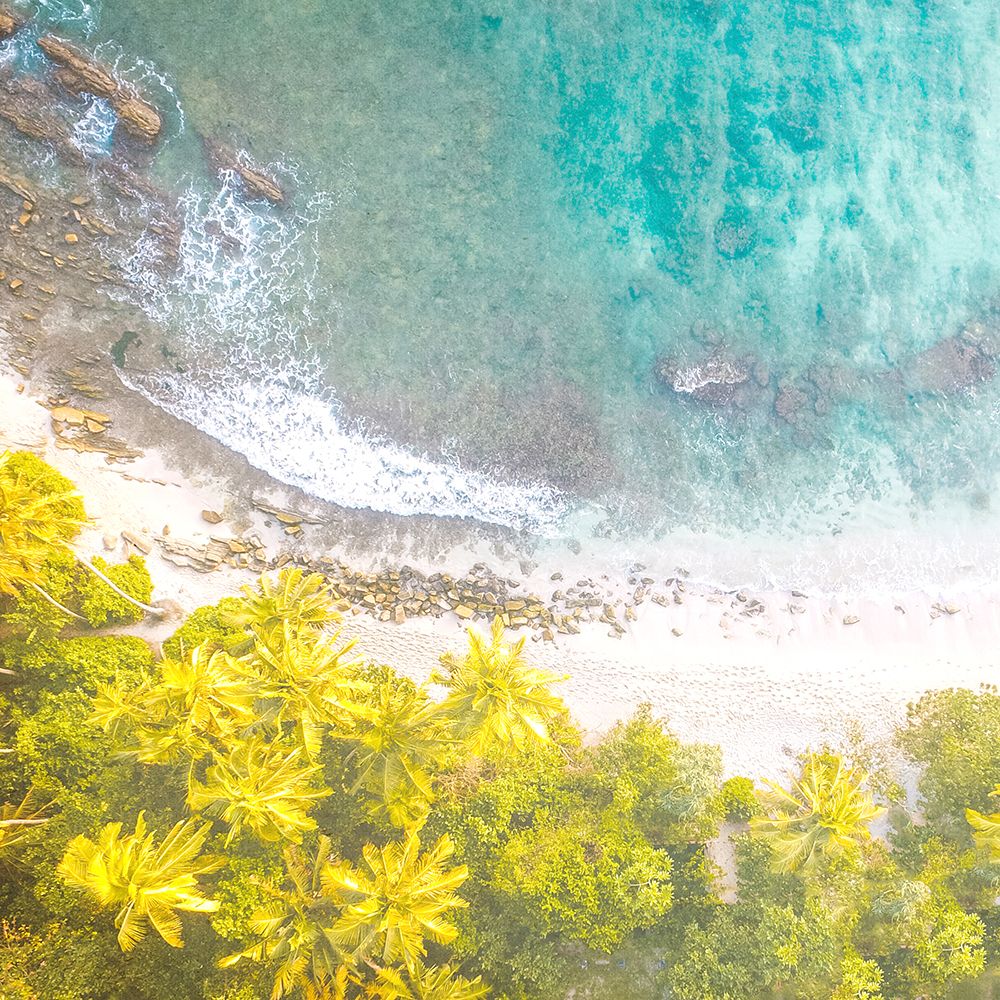Tropic Aerial 1 art print by Kimberly Allen for $57.95 CAD