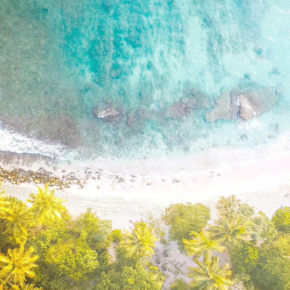 Tropic Aerial 2 art print by Kimberly Allen for $57.95 CAD