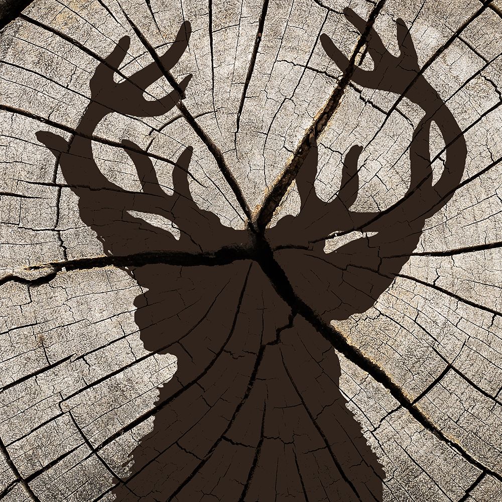 Woods Silhouette 1 art print by Kimberly Allen for $57.95 CAD