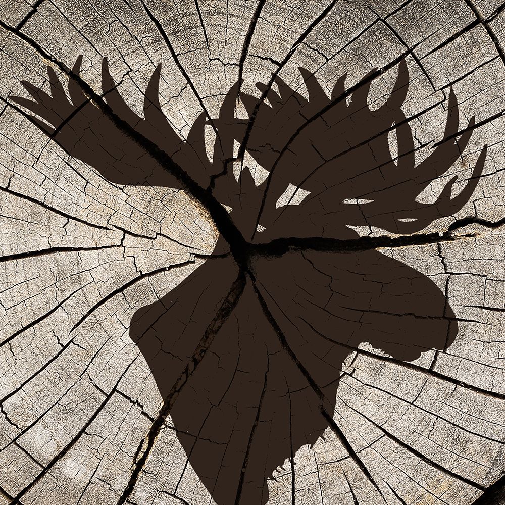 Woods Silhouette 2 art print by Kimberly Allen for $57.95 CAD