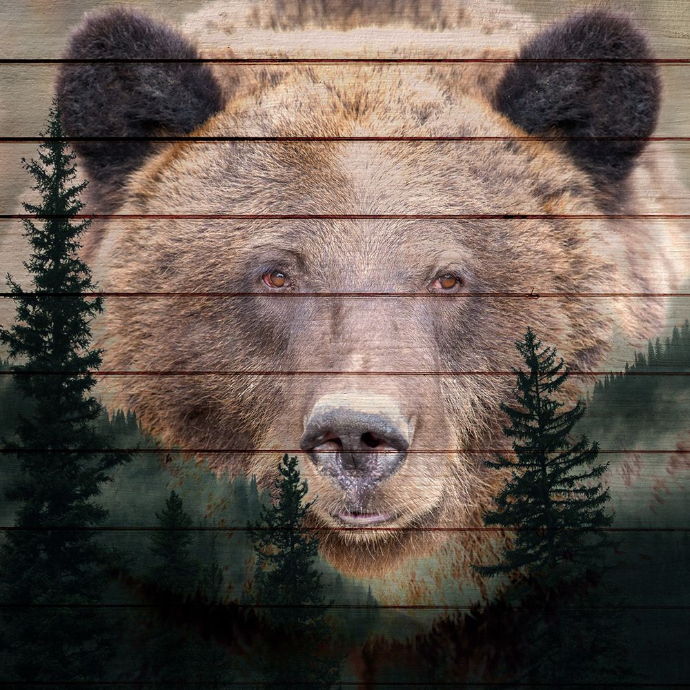 Gaze art print by Kimberly Allen for $57.95 CAD
