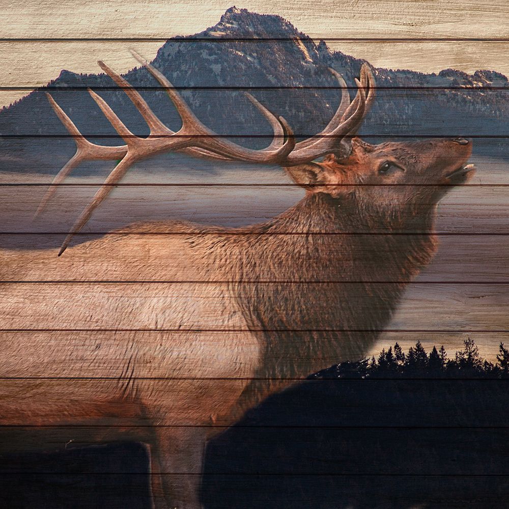King art print by Kimberly Allen for $57.95 CAD
