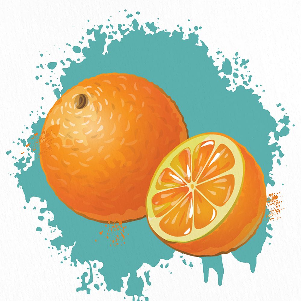 Summer Fruit 3 art print by Kimberly Allen for $57.95 CAD
