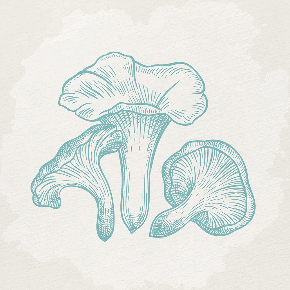 Mushroom Love 1 art print by Kimberly Allen for $57.95 CAD