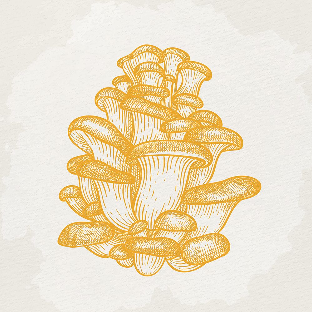 Mushroom Love 2 art print by Kimberly Allen for $57.95 CAD