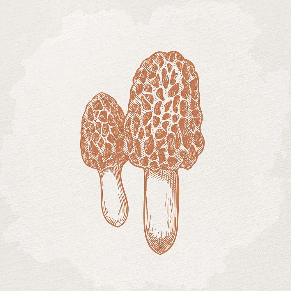 Mushroom Love 3 art print by Kimberly Allen for $57.95 CAD