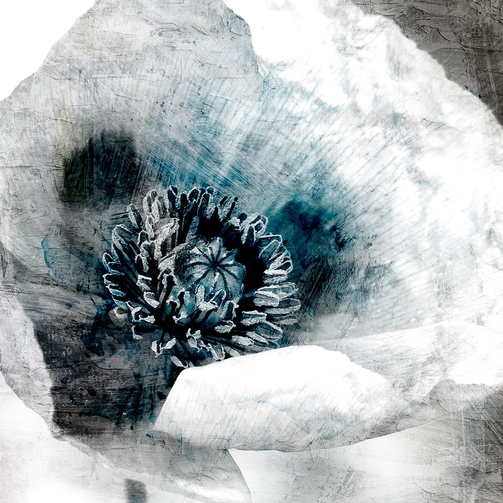 Poppy Center art print by Kimberly Allen for $57.95 CAD