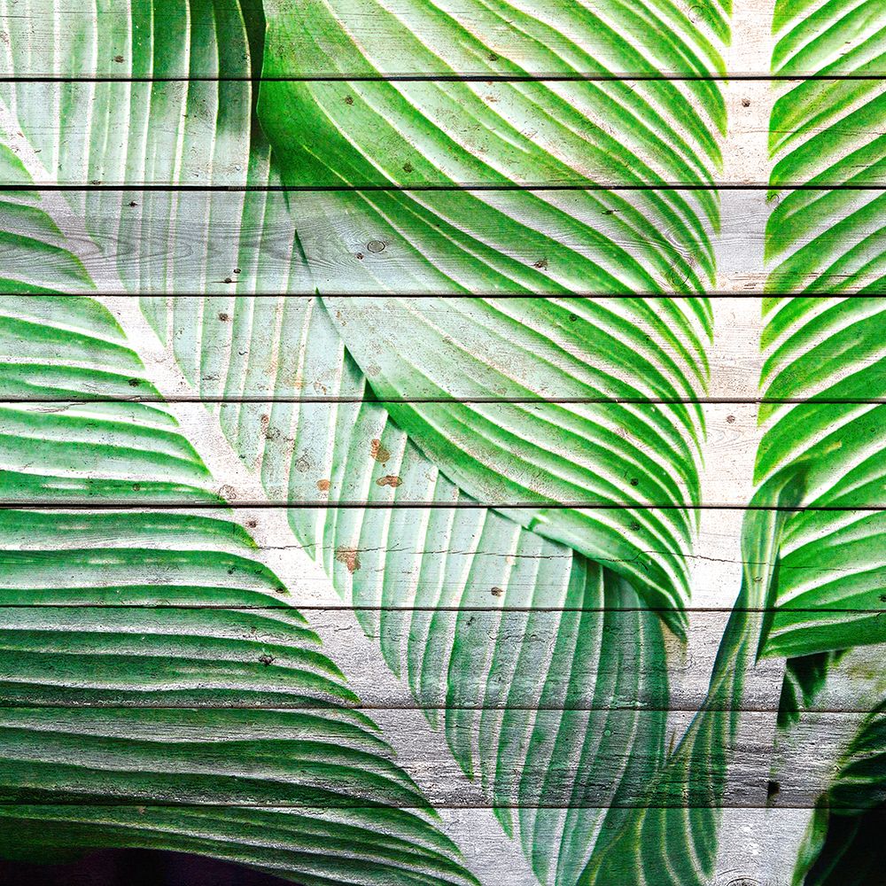 Palms On Wood 2 art print by Kimberly Allen for $57.95 CAD