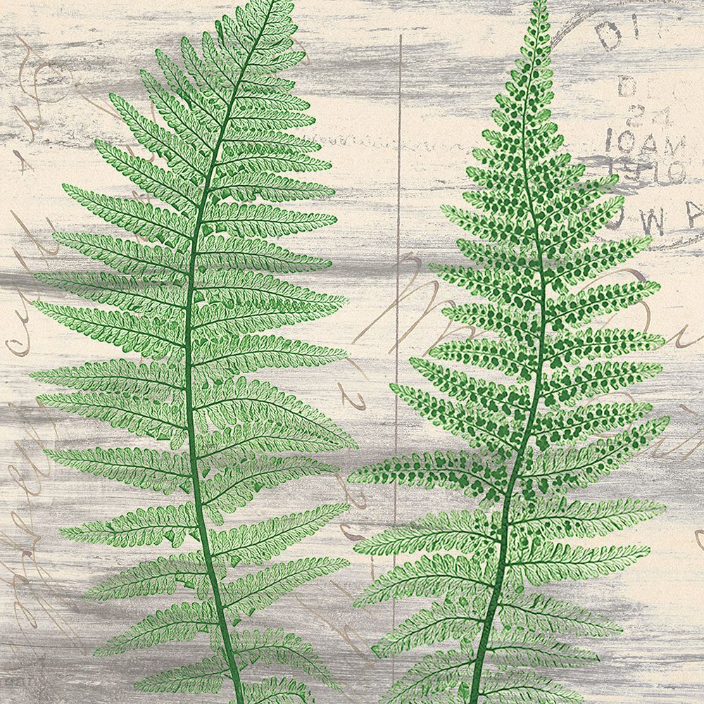 Postage Green 1 art print by Kimberly Allen for $57.95 CAD