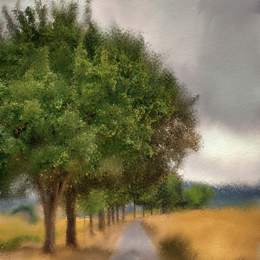 Dusky Sky art print by Kimberly Allen for $57.95 CAD