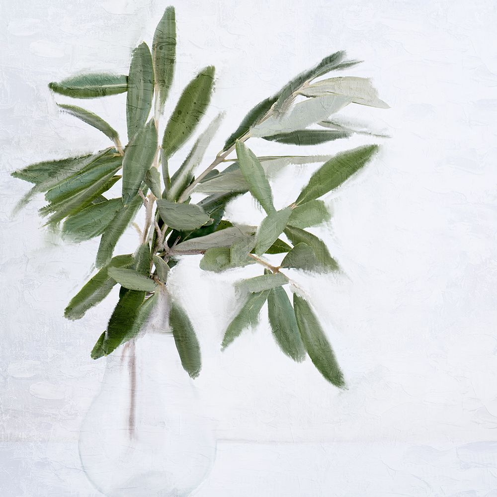 Olive Branches art print by Kimberly Allen for $57.95 CAD