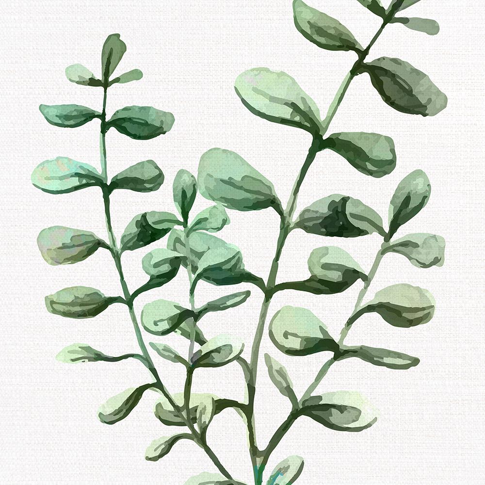 Greens Square 2 art print by Kimberly Allen for $57.95 CAD