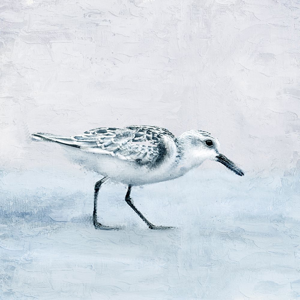 Sandpiper 1 art print by Kimberly Allen for $57.95 CAD