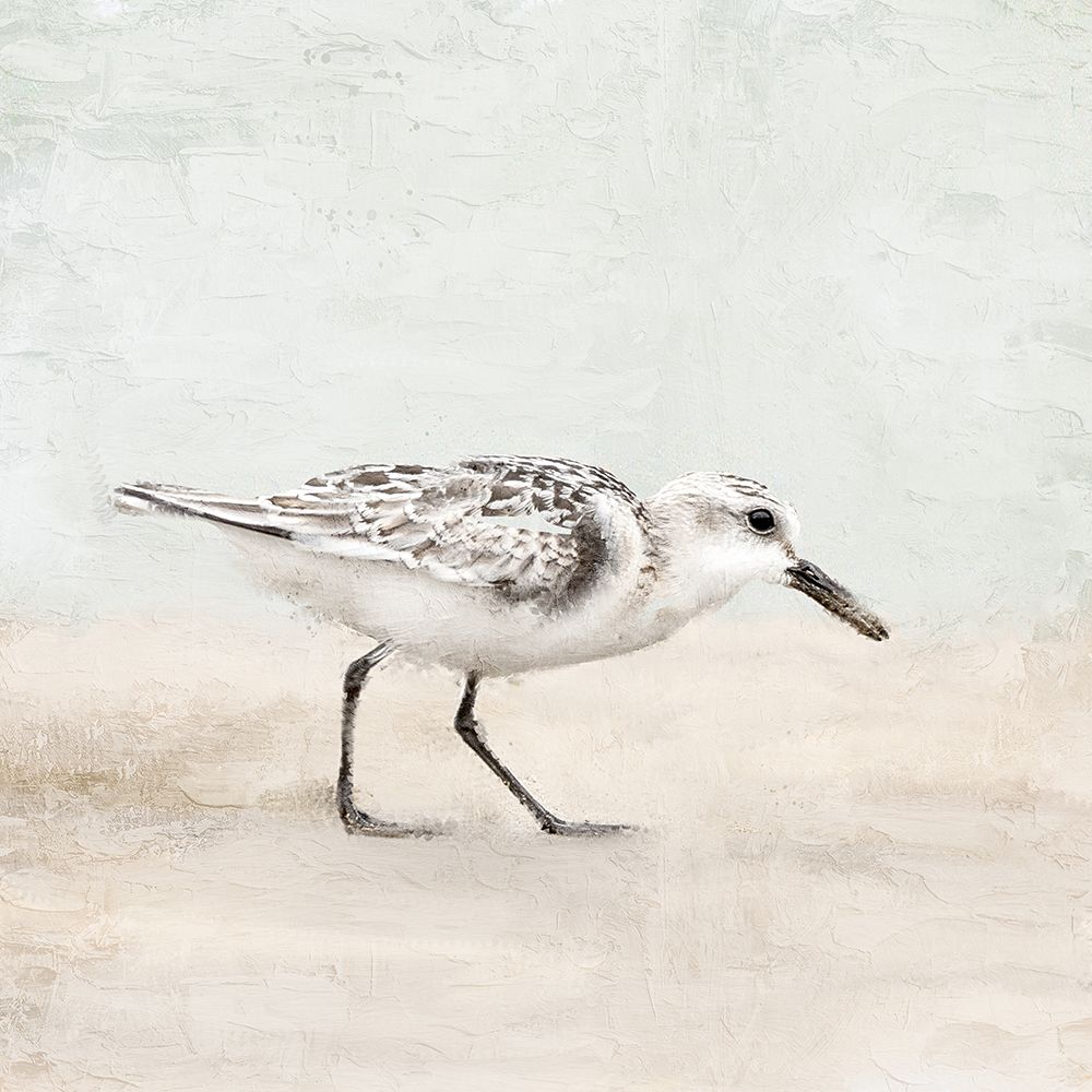 Sandpiper 1 art print by Kimberly Allen for $57.95 CAD
