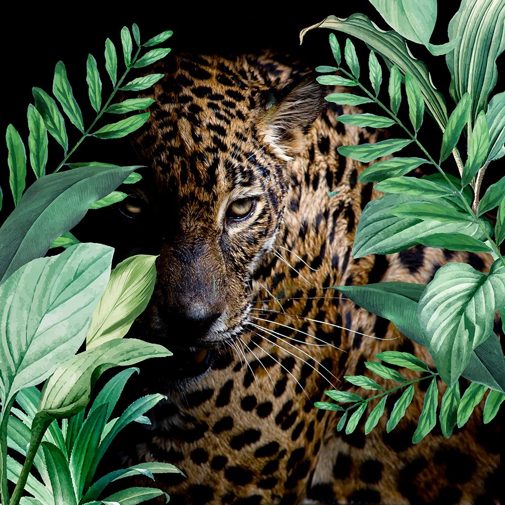 Jungle Leopard art print by Kimberly Allen for $57.95 CAD