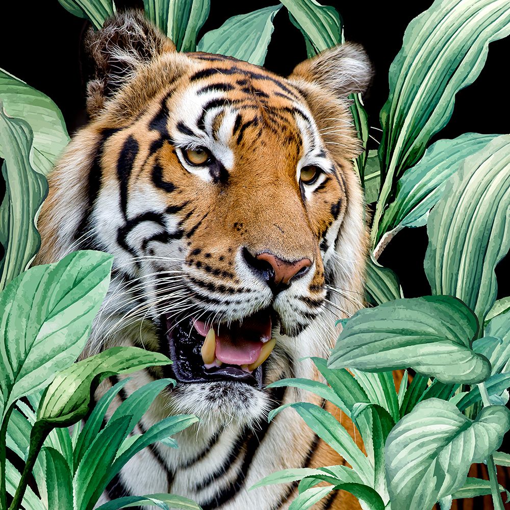 Jungle Tiger art print by Kimberly Allen for $57.95 CAD