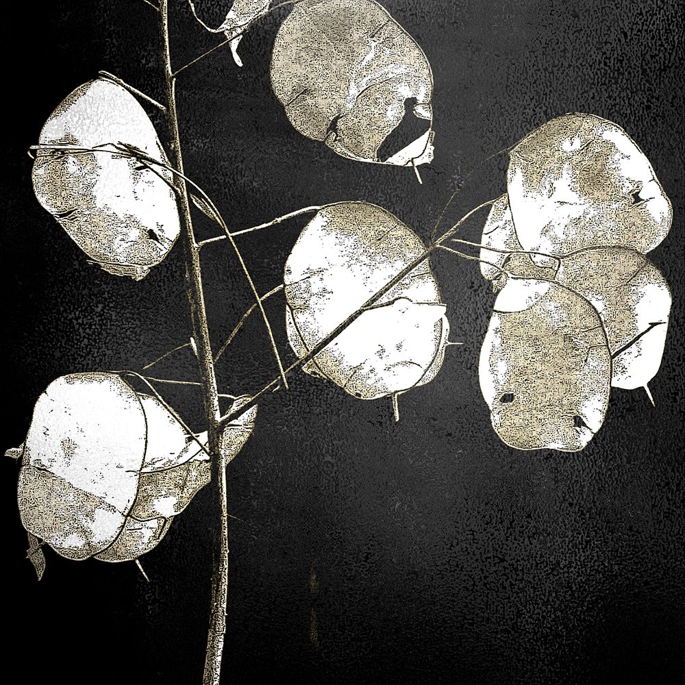 Petals 1 art print by Kimberly Allen for $57.95 CAD
