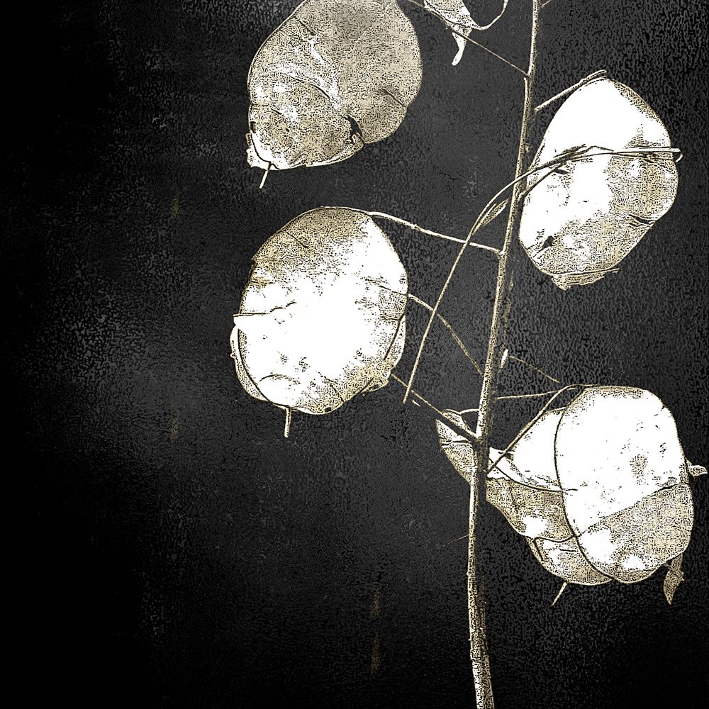 Petals 2 art print by Kimberly Allen for $57.95 CAD