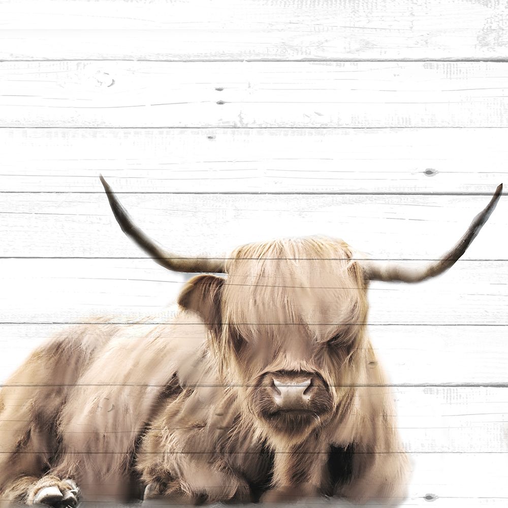 Highland V2 art print by Kimberly Allen for $57.95 CAD