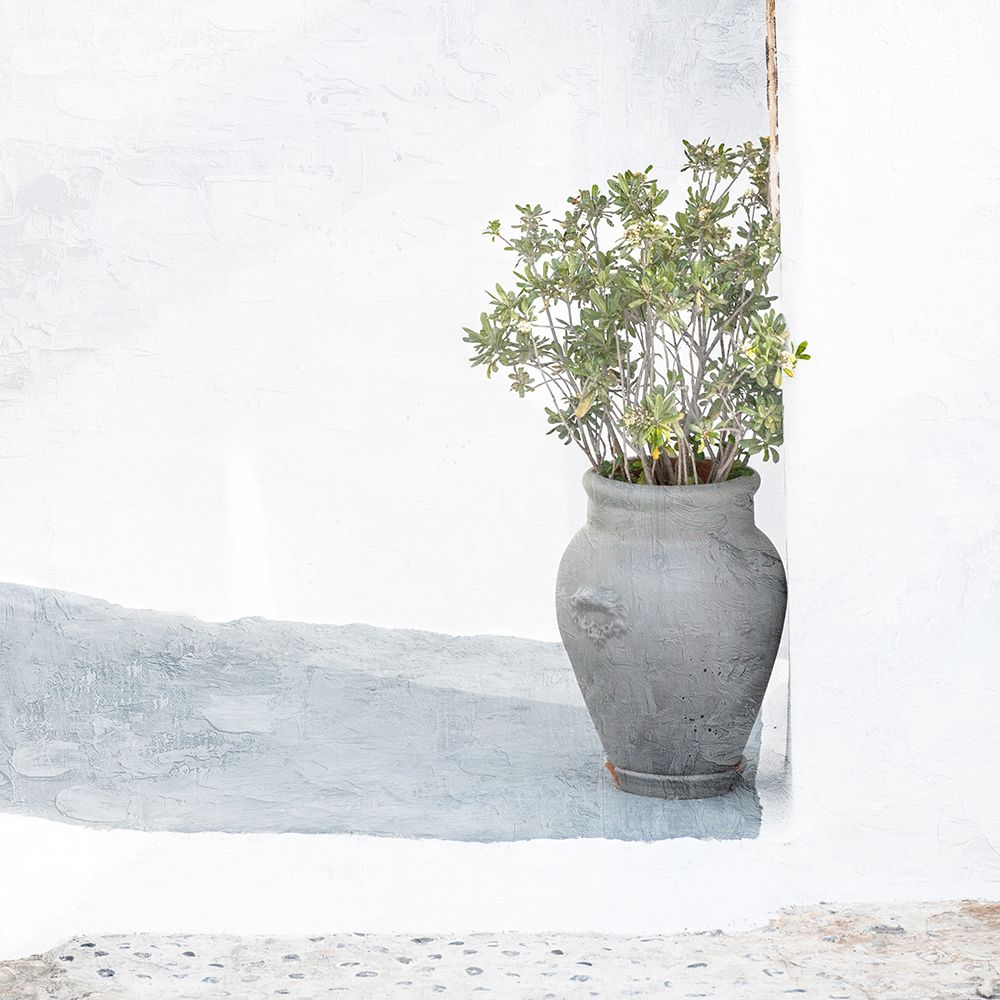 Corner Plant art print by Kimberly Allen for $57.95 CAD