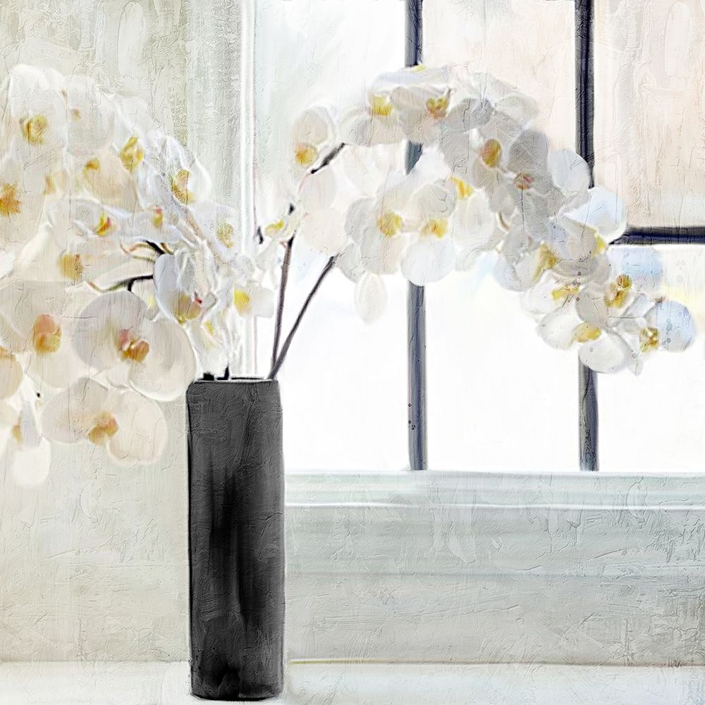 Orchid Window art print by Kimberly Allen for $57.95 CAD