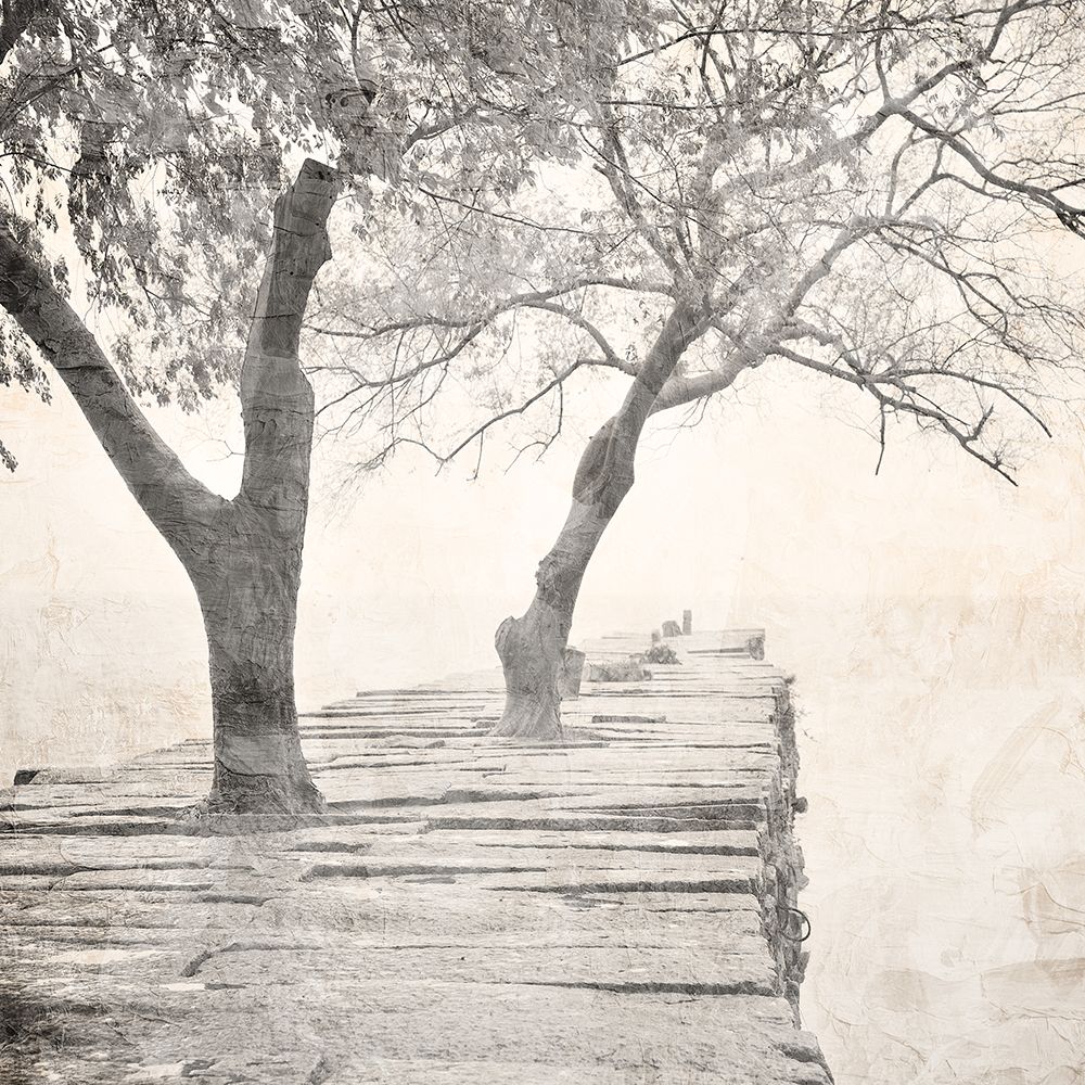 Tree Pier art print by Kimberly Allen for $57.95 CAD