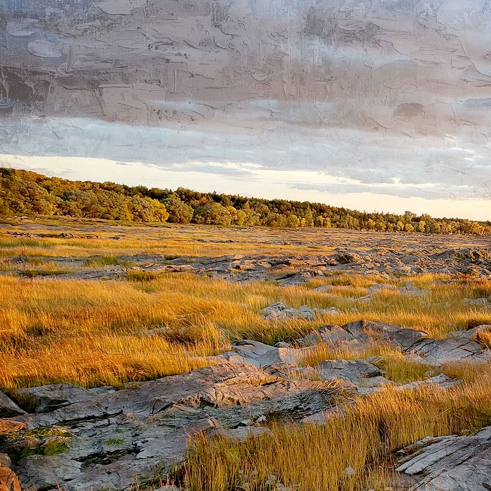 Distance 1 art print by Kimberly Allen for $57.95 CAD