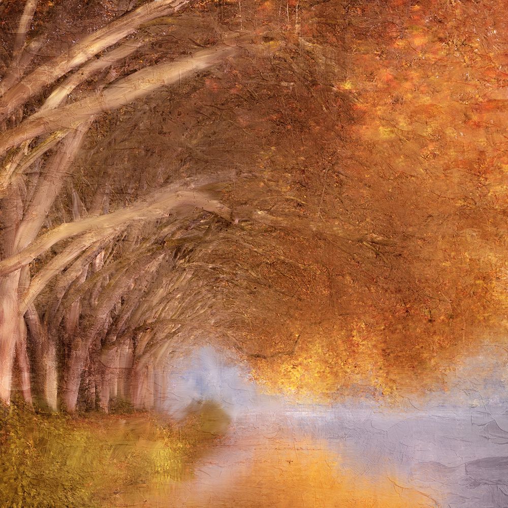 Autumn Reflection art print by Kimberly Allen for $57.95 CAD