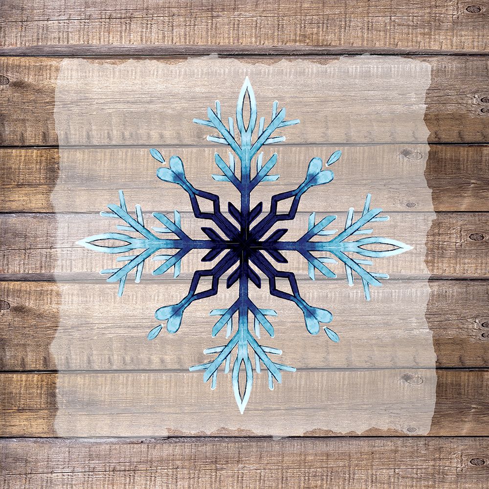 Snowflake Woods 1 art print by Kimberly Allen for $57.95 CAD