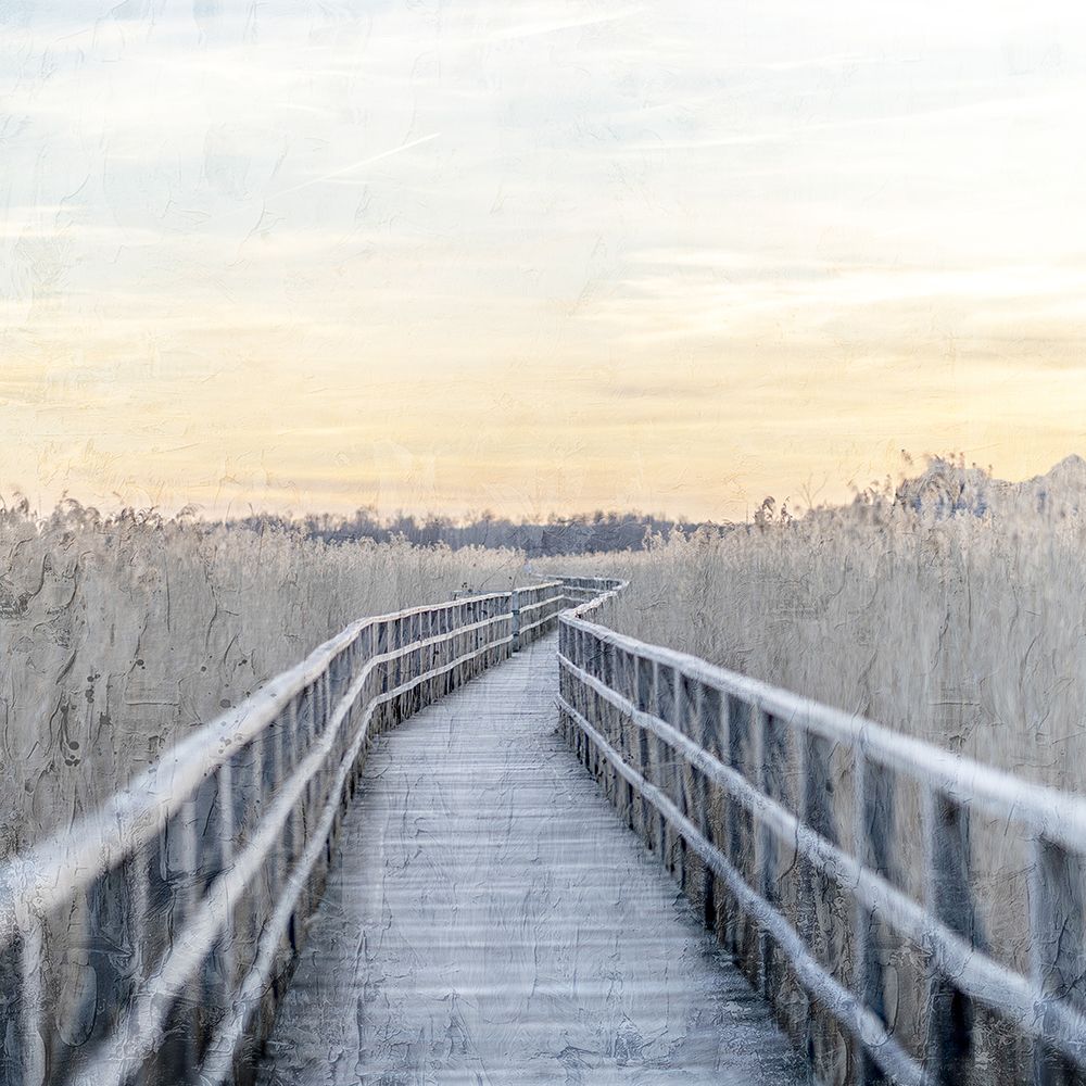 Wooden Pier art print by Kimberly Allen for $57.95 CAD