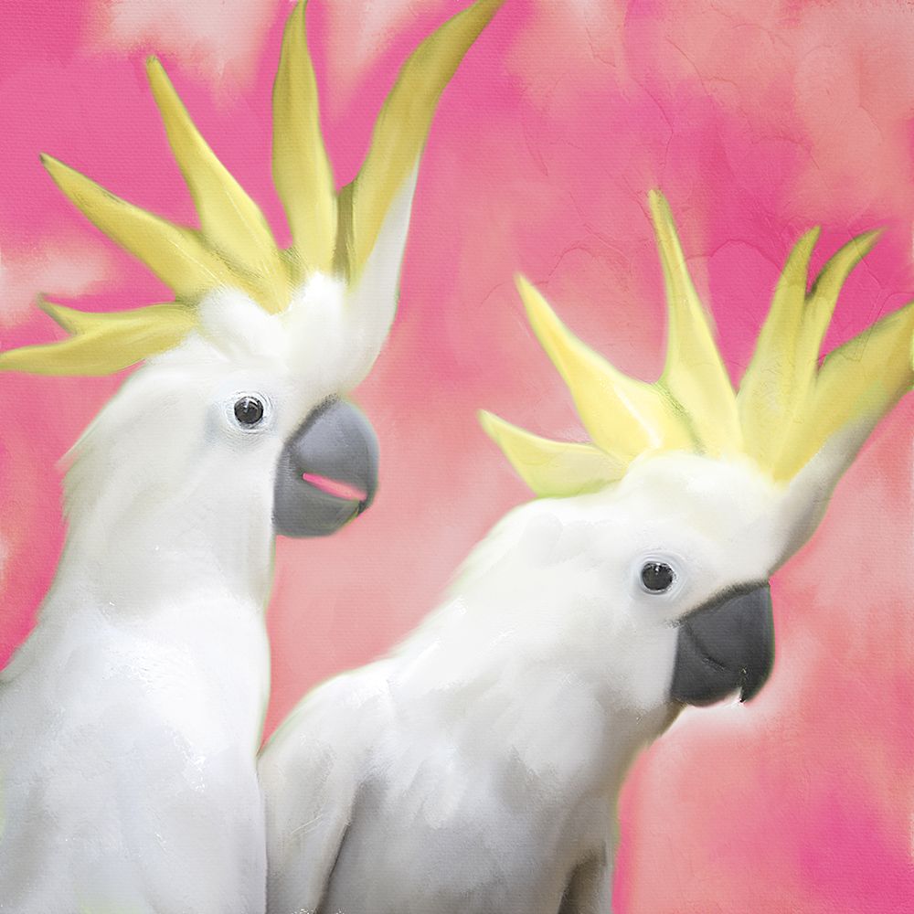 Two Cockatoo 1 art print by Kimberly Allen for $57.95 CAD