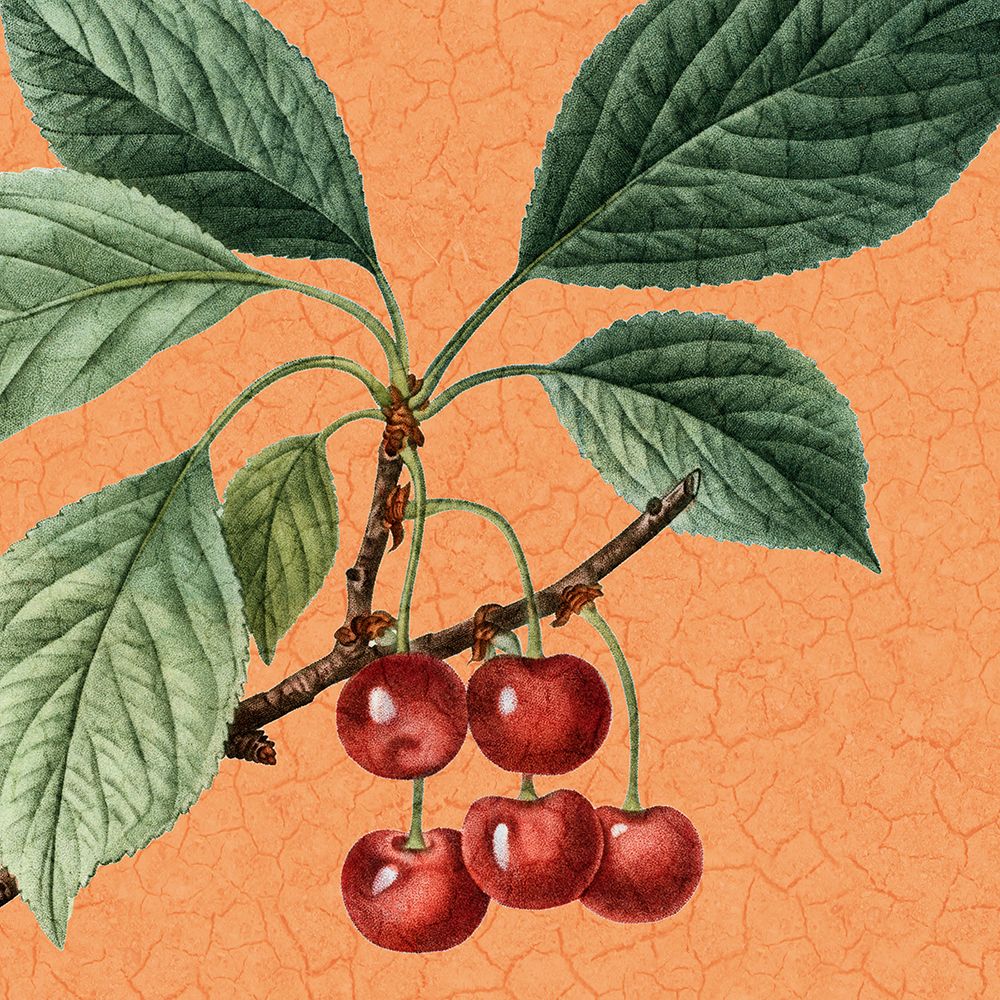 Summer Fruit 1 art print by Kimberly Allen for $57.95 CAD