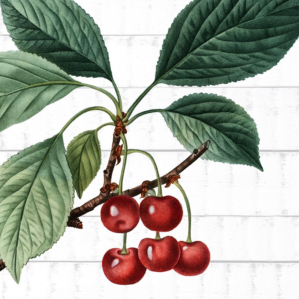 Picking Fruit 1 art print by Kimberly Allen for $57.95 CAD