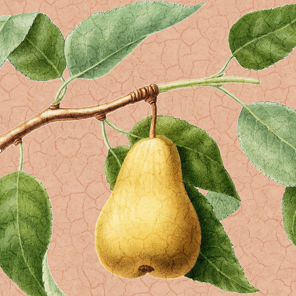Summer Fruit 2 art print by Kimberly Allen for $57.95 CAD