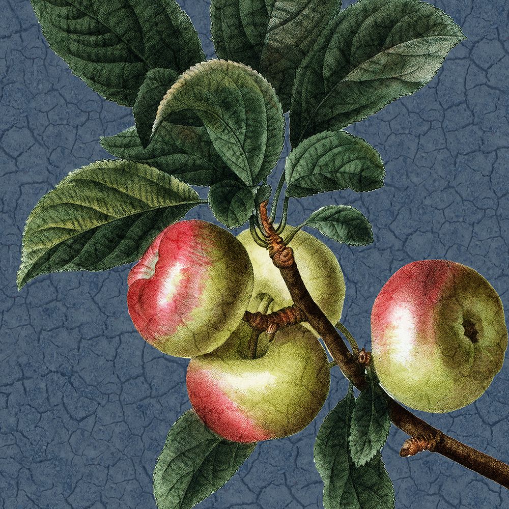 Summer Fruit 3 art print by Kimberly Allen for $57.95 CAD