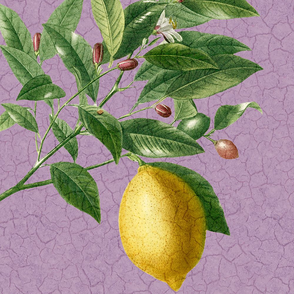 Summer Fruit 4 art print by Kimberly Allen for $57.95 CAD