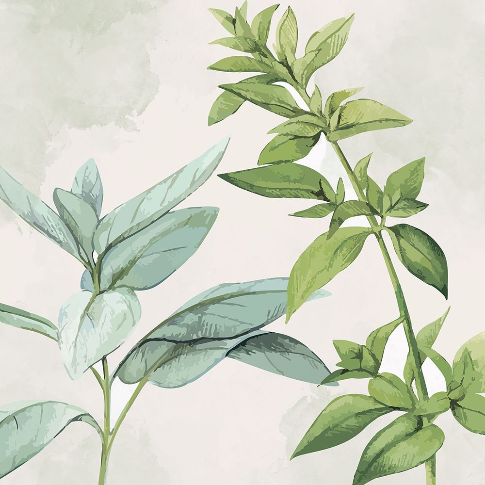 Fresh 1 art print by Kimberly Allen for $57.95 CAD